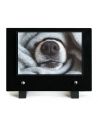 PLAQUE IMPRIMEE 15X21 ANIMAUX