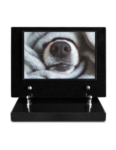 PLAQUE IMPRIMEE S/SOCLE 15X21 ANIMAUX