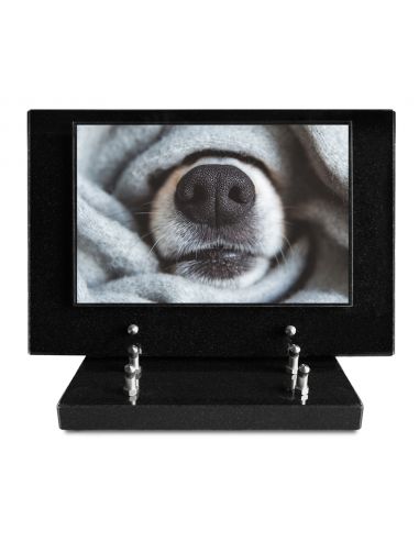 PLAQUE IMPRIMEE S/SOCLE 20X30 ANIMAUX