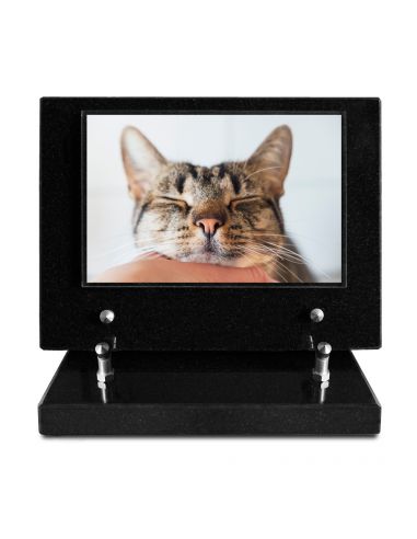 PLAQUE IMPRIMEE S/SOCLE 15X21 ANIMAUX