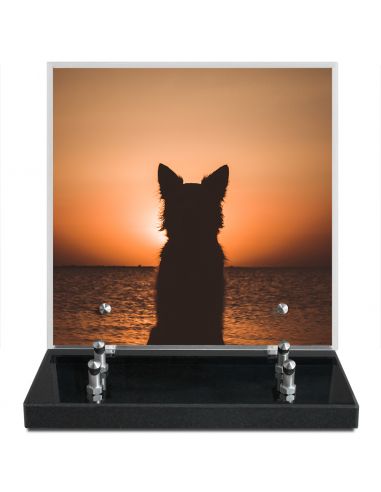 PLAQUE IMPRIMEE 21X21 ANIMAUX