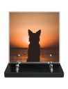 PLAQUE IMPRIMEE 21X21 ANIMAUX