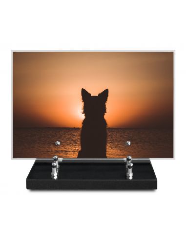 PLAQUE IMPRIMEE 20X30 ANIMAUX