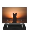 PLAQUE IMPRIMEE 15X22,5 ANIMAUX