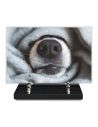 PLAQUE IMPRIMEE 20X30 ANIMAUX