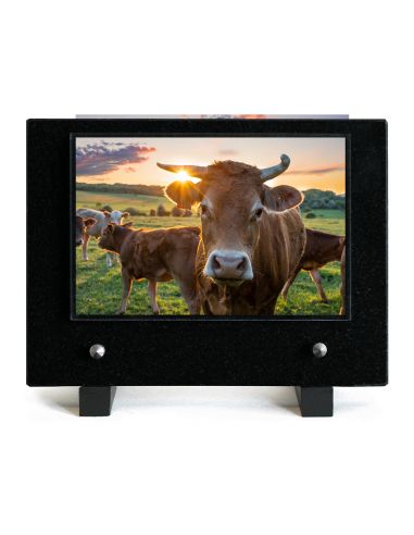 PLAQUE IMPRIMEE 15X21 AGRICULTURE