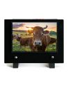 PLAQUE IMPRIMEE 15X21 AGRICULTURE