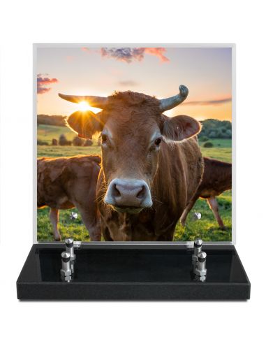 PLAQUE IMPRIMEE 21X21 AGRICULTURE