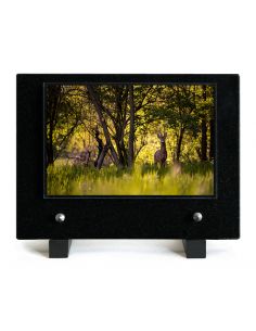 PLAQUE IMPRIMEE 15X21 CHASSE ET PECHE