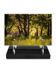 PLAQUE IMPRIMEE 15X22,5 CHASSE ET PECHE