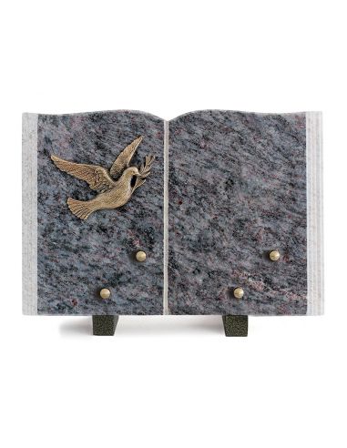 PLAQUE GRANIT LIVRE 20X30CM LOT DE 2