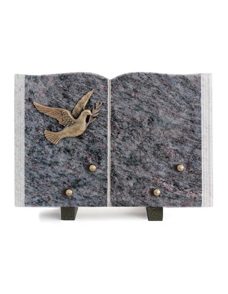 PLAQUE GRANIT LIVRE 20X30CM LOT DE 2