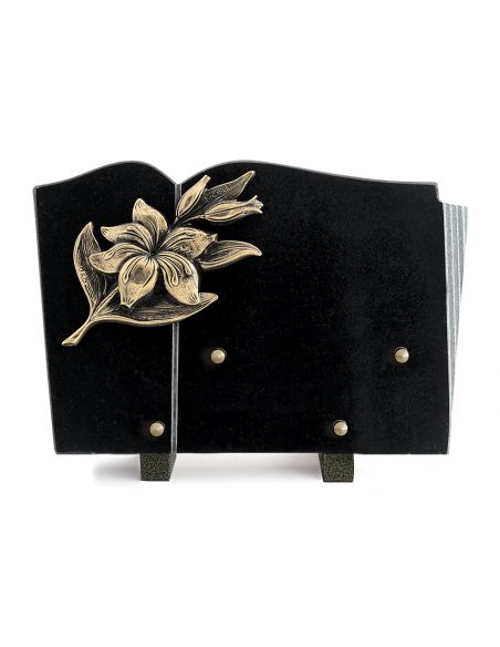 PLAQUE GRANIT LIVRE 20X30CM LOT DE 2