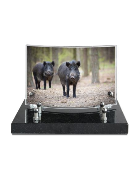 PLAQUE IMPRIMEE GALBEE 13X20 - 2 INTERS - NATURE/CHASSE/PECHE