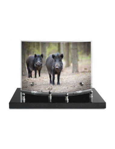 PLAQUE IMPRIMEE GALBEE 17X26 - 2 INTERS - NATURE/CHASSE/PECHE