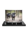 PLAQUE IMPRIMEE GALBEE 17X26 - 2 INTERS - NATURE/CHASSE/PECHE