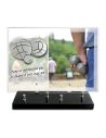 PLAQUE IMPRIMEE 25X35 + MOTIF INOX PETANQUE