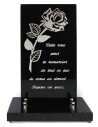 PLAQUE GRANIT 15X28 DECOR INOX