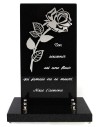 PLAQUE GRANIT 15X28 DECOR INOX