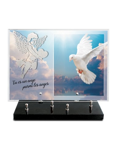 PLAQUE IMPRIMEE 25X35 + MOTIF INOX ANGE