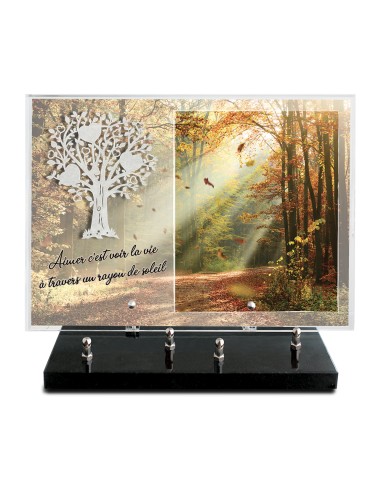 PLAQUE IMPRIMEE 25X35 + MOTIF INOX ARBRE