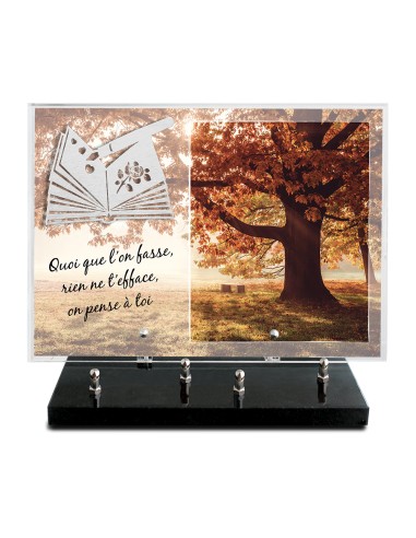 PLAQUE IMPRIMEE 25X35 + MOTIF INOX LIVRE