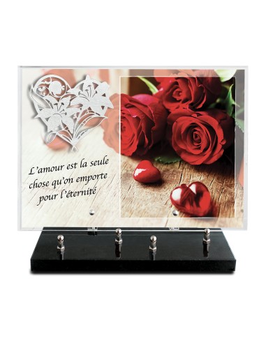 PLAQUE IMPRIMEE 25X35 + MOTIF INOX LYS