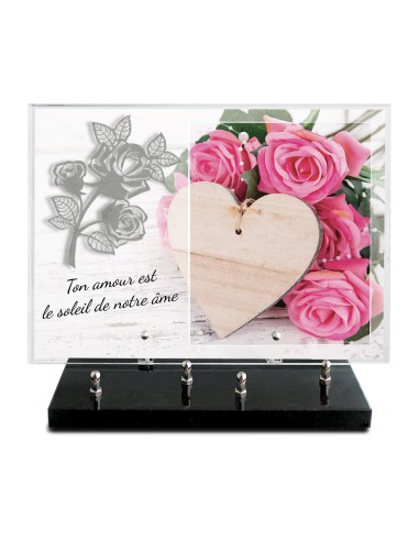 PLAQUE IMPRIMEE 25X35 + MOTIF INOX ROSE