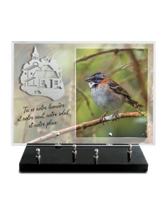 PLAQUE IMPRIMEE 25X35 +...