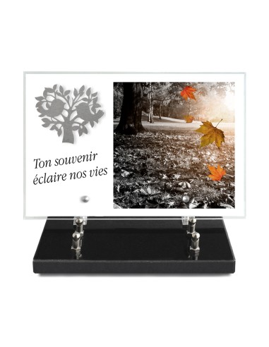 PLAQUE IMPRIMEE 20X30 + MOTIF INOX ARBRE