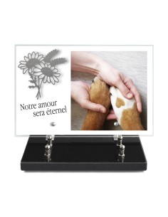 PLAQUE IMPRIMEE 20X30 +...