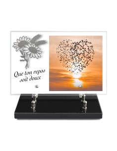 PLAQUE IMPRIMEE 20X30 +...