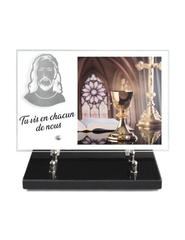 PLAQUE IMPRIMEE 20X30 + MOTIF INOX CHRIST