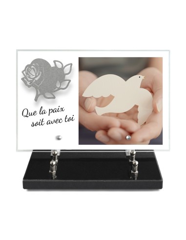 PLAQUE IMPRIMEE 20X30 + MOTIF INOX COEUR