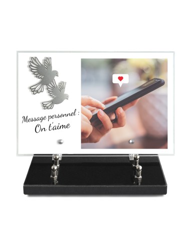 PLAQUE IMPRIMEE 20X30 + MOTIF INOX COLOMBE