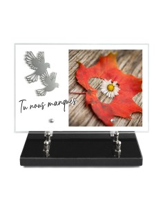 PLAQUE IMPRIMEE 20X30 +...