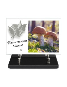 PLAQUE IMPRIMEE 20X30 +...
