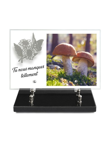 PLAQUE IMPRIMEE 20X30 + MOTIF INOX MARGUERITE