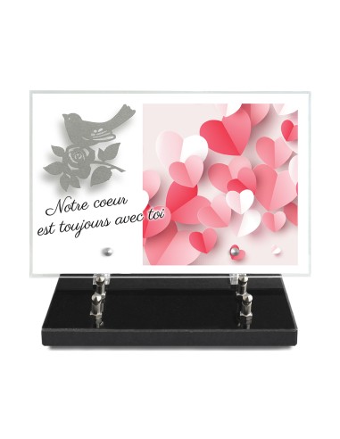 PLAQUE IMPRIMEE 20X30 + MOTIF INOX OISEAU