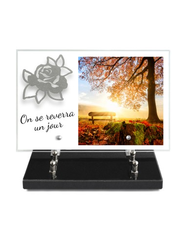 PLAQUE IMPRIMEE 20X30 + MOTIF INOX ROSE