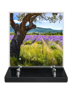PLAQUE IMPRIMEE 21X21...
