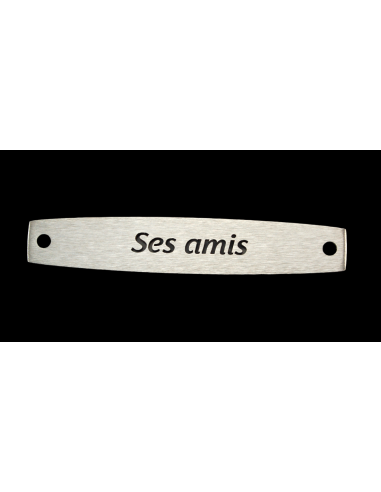 SACHET 5 INTERS INOX "SES AMIS"