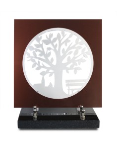 PLAQUE ALTU INCOLORE...