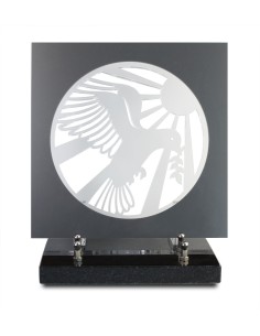 PLAQUE ALTU INCOLORE...