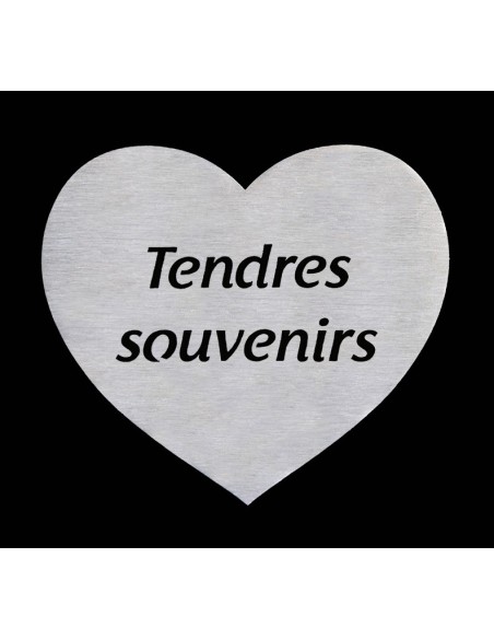 PLAQUE GRANIT NOIR 20X30CM DECOR INOX