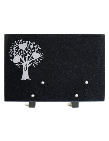 PLAQUE GRANIT NOIR 20X30CM DECOR INOX