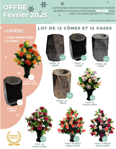 LOT DE VASES ET CONES DONT 3 GRATUITS A 839.00 €