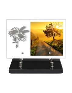 PLAQUE IMPRIMEE 20X30 SANS...