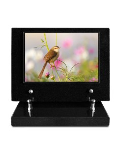 PLAQUE IMPRIMEE 15X21...