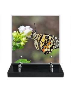 PLAQUE IMPRIMEE 21X21...